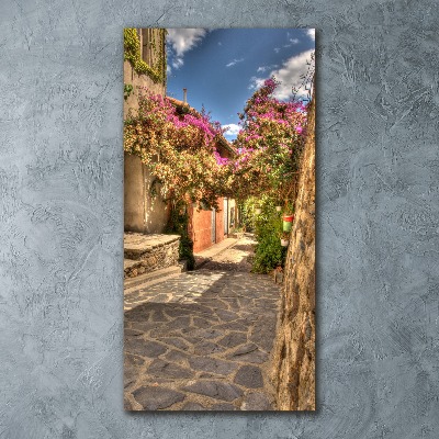 Quadro stampa su vetro acrilico verticale Strade francesi