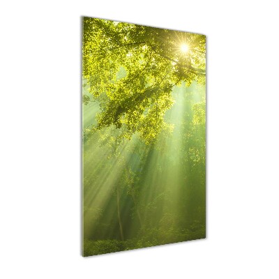 Quadro vetro acrilico verticale Il sole nella foresta