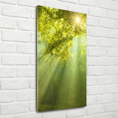 Quadro vetro acrilico verticale Il sole nella foresta