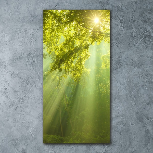Quadro vetro acrilico verticale Il sole nella foresta