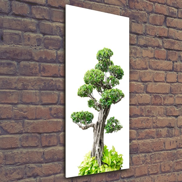 Quadro acrilico verticale Albero bonsai