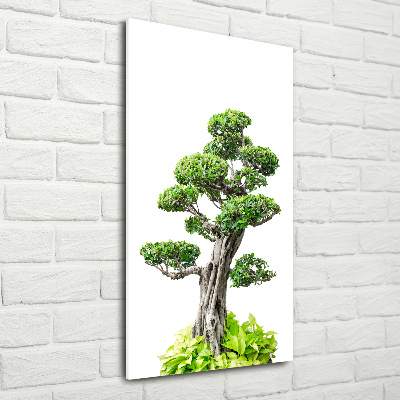 Quadro acrilico verticale Albero bonsai