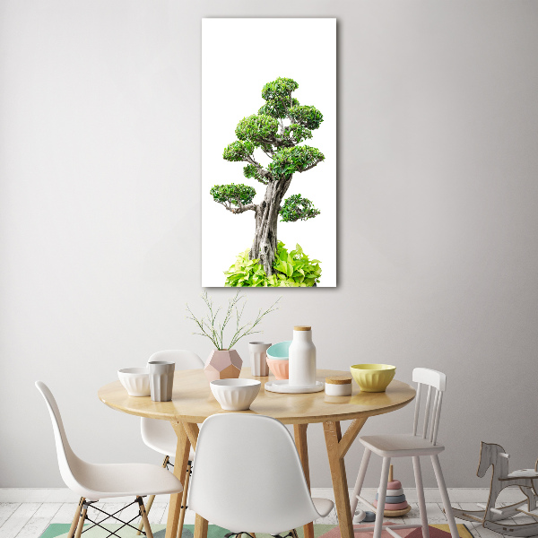 Quadro acrilico verticale Albero bonsai