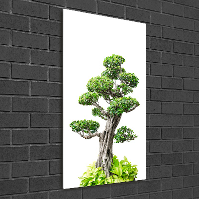 Quadro acrilico verticale Albero bonsai