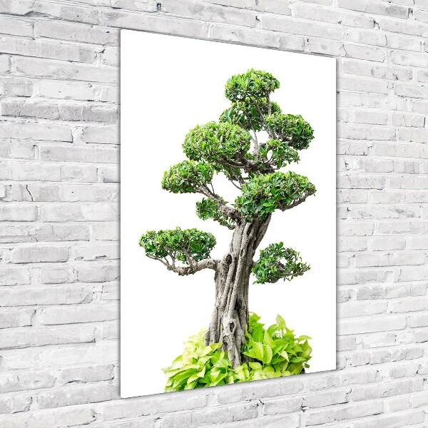 Quadro acrilico verticale Albero bonsai