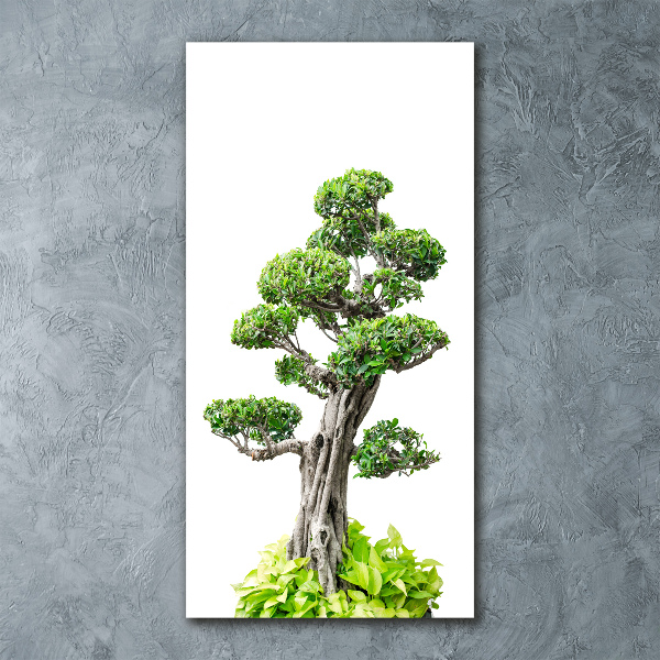 Quadro acrilico verticale Albero bonsai