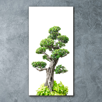 Quadro acrilico verticale Albero bonsai