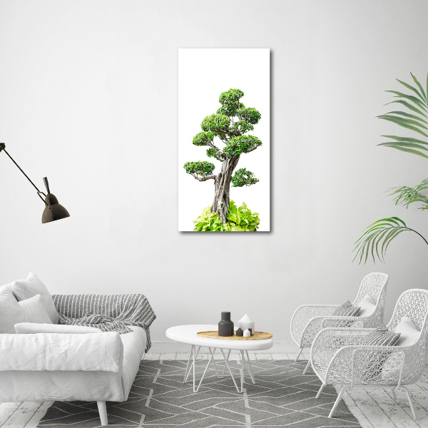 Quadro acrilico verticale Albero bonsai