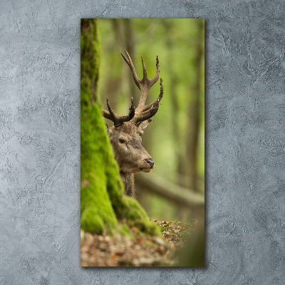 Quadro stampa su vetro acrilico verticale Cervo