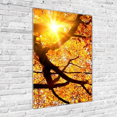 Quadro stampa su vetro acrilico verticale Albero autunnale