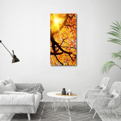 Quadro stampa su vetro acrilico verticale Albero autunnale