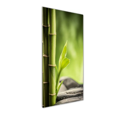 Quadro vetro acrilico verticale Bambù