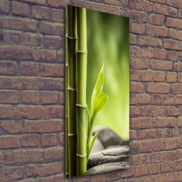Quadro vetro acrilico verticale Bambù