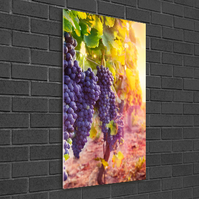 Quadro in vetro acrilico verticale Vigneto