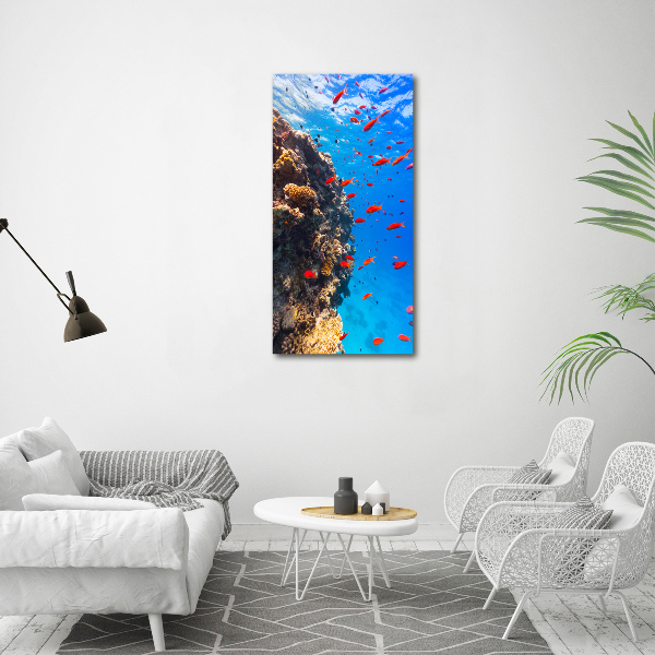 Quadro in vetro acrilico verticale Barriera corallina