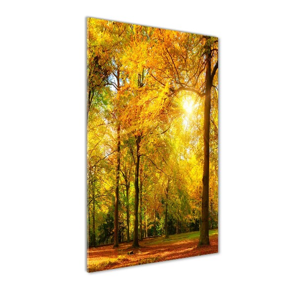 Quadro vetro acrilico verticale Foresta in autunno