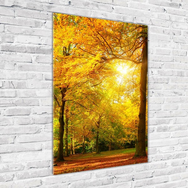Quadro vetro acrilico verticale Foresta in autunno