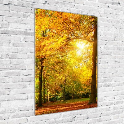 Quadro vetro acrilico verticale Foresta in autunno