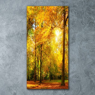Quadro vetro acrilico verticale Foresta in autunno