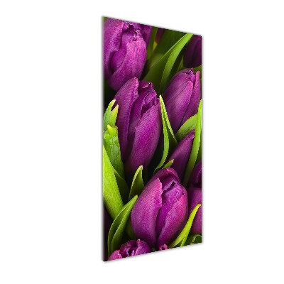 Quadro vetro acrilico verticale Tulipani viola