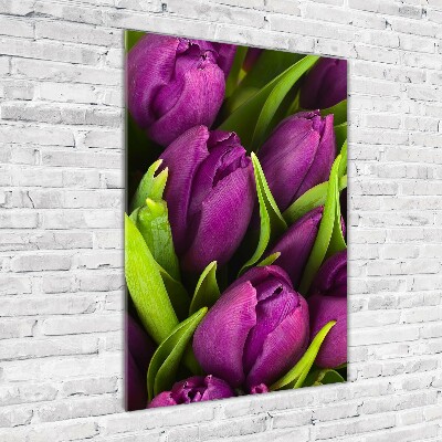 Quadro vetro acrilico verticale Tulipani viola