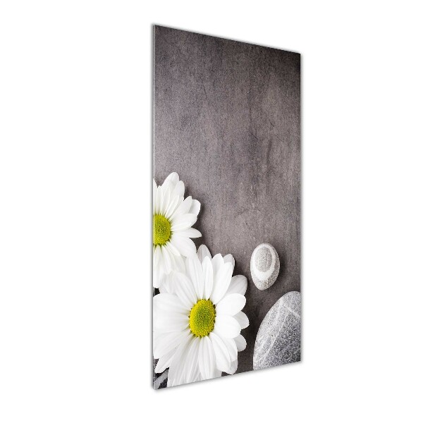 Quadro stampa su vetro acrilico verticale Gerbera