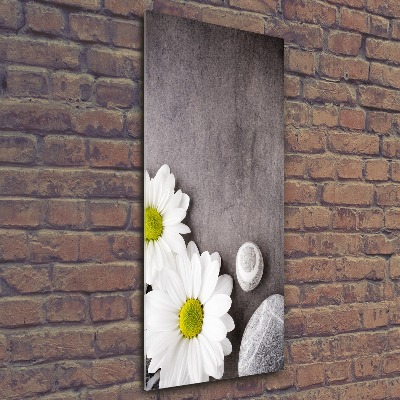 Quadro stampa su vetro acrilico verticale Gerbera