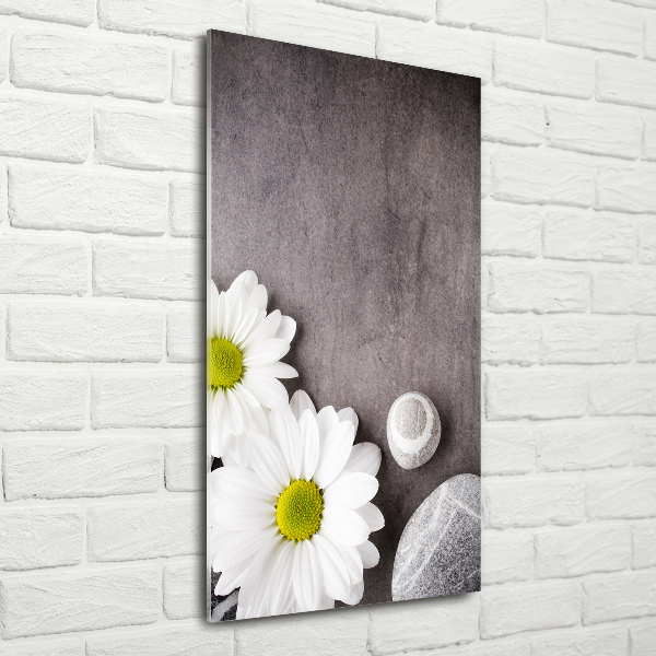 Quadro stampa su vetro acrilico verticale Gerbera
