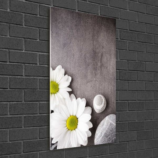 Quadro stampa su vetro acrilico verticale Gerbera
