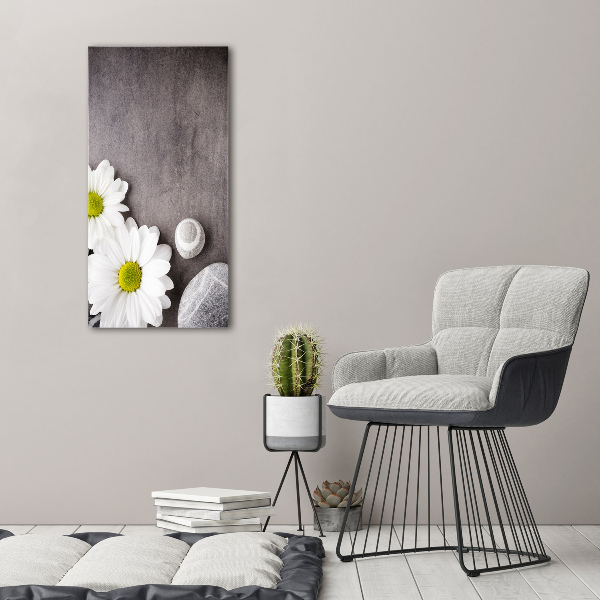 Quadro stampa su vetro acrilico verticale Gerbera