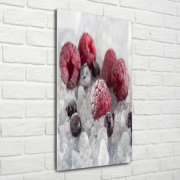 Quadro in vetro acrilico verticale Frutta congelata