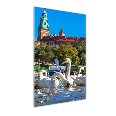 Quadro vetro acrilico verticale Cracovia, Polonia