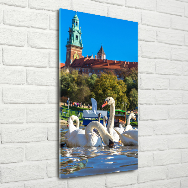 Quadro vetro acrilico verticale Cracovia, Polonia