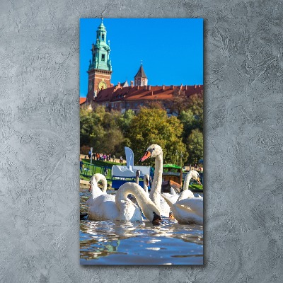 Quadro vetro acrilico verticale Cracovia, Polonia