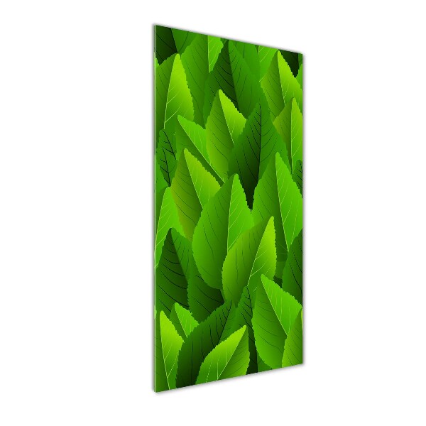 Quadro vetro acrilico verticale Foglie verdi