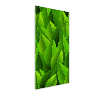 Quadro vetro acrilico verticale Foglie verdi