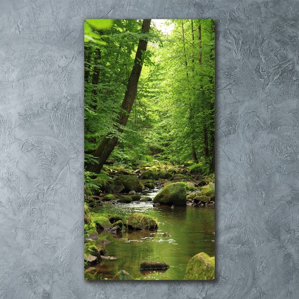 Quadro vetro acrilico verticale Fiume nella foresta
