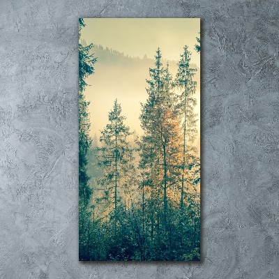 Quadro stampa su vetro acrilico verticale Nebbia sulla foresta
