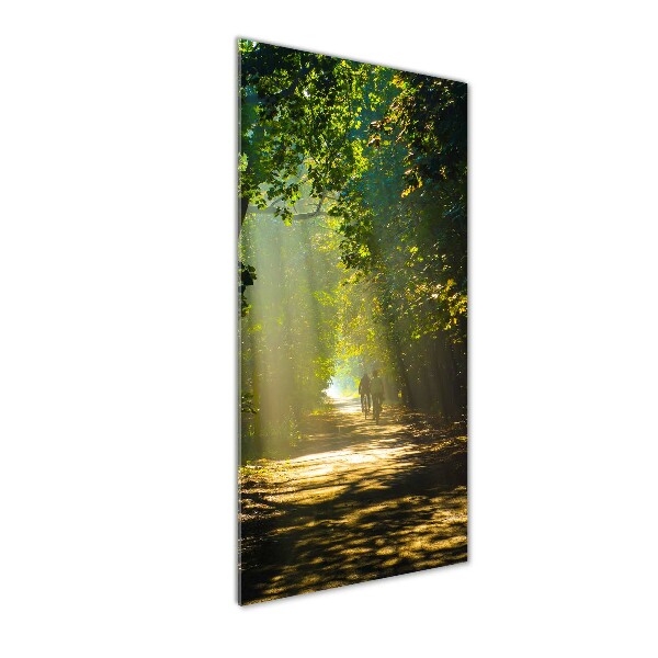 Quadro in vetro acrilico verticale Sentiero nella foresta