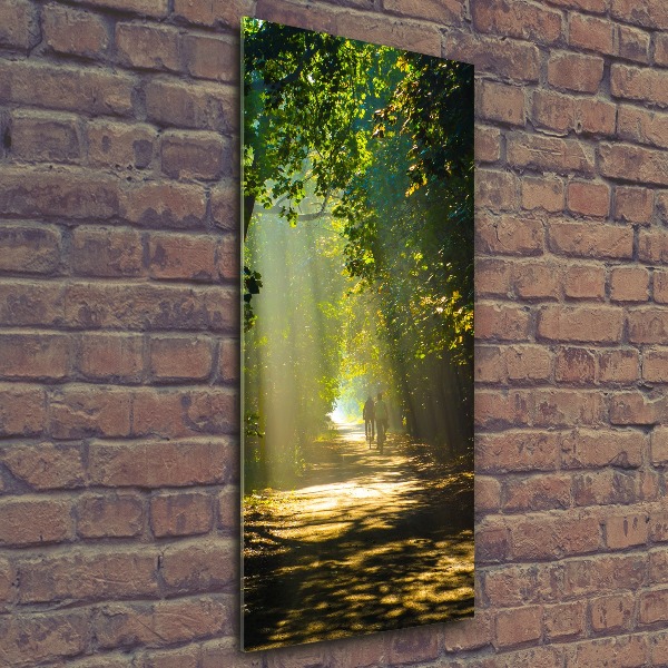 Quadro in vetro acrilico verticale Sentiero nella foresta
