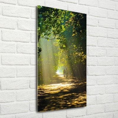 Quadro in vetro acrilico verticale Sentiero nella foresta