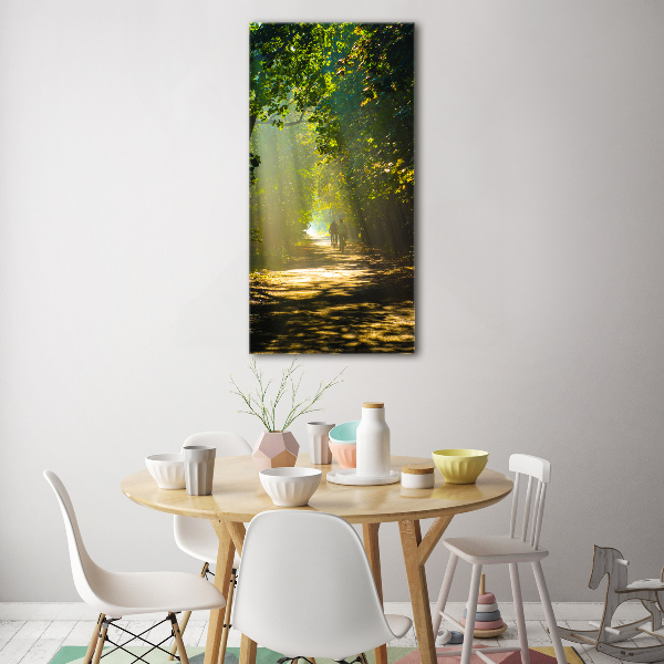 Quadro in vetro acrilico verticale Sentiero nella foresta
