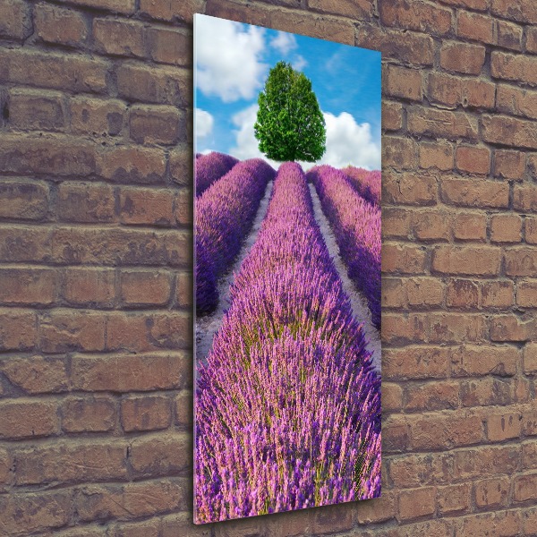 Quadro vetro acrilico verticale Campo di lavanda