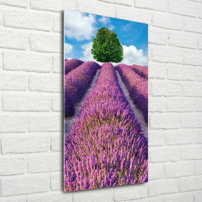 Quadro vetro acrilico verticale Campo di lavanda