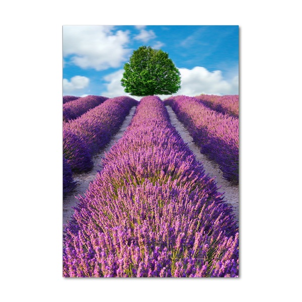 Quadro vetro acrilico verticale Campo di lavanda
