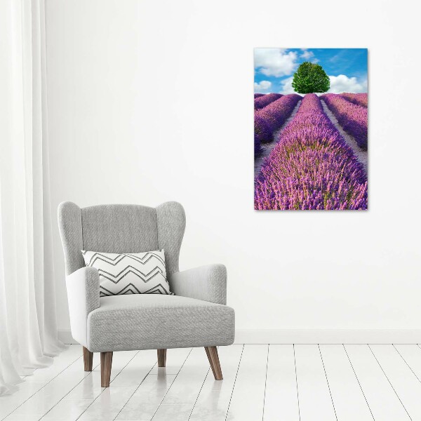 Quadro vetro acrilico verticale Campo di lavanda