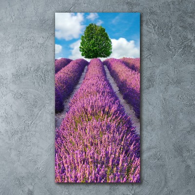 Quadro vetro acrilico verticale Campo di lavanda
