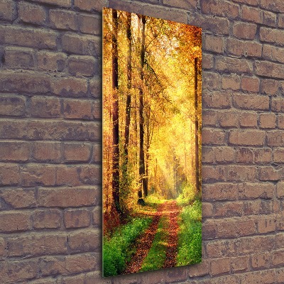 Quadro stampa su vetro acrilico verticale Foresta in autunno