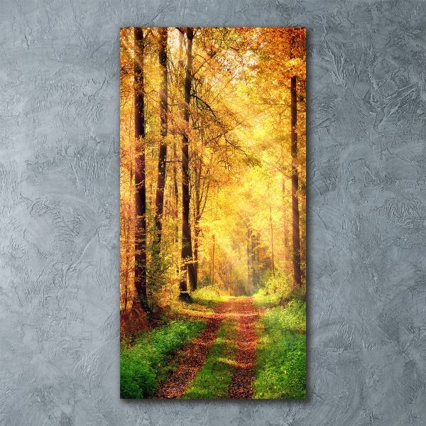 Quadro stampa su vetro acrilico verticale Foresta in autunno