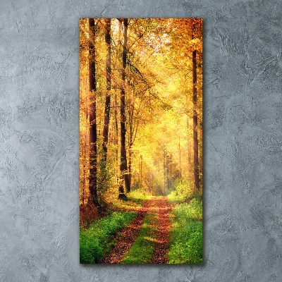 Quadro stampa su vetro acrilico verticale Foresta in autunno